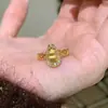 Ringue Mais Vendido em Transmissão ao Vivo Xiaohongshu Novo Estilo Chinês Zircônia Ouro Escovado Anel de Cabacinha Anel de Alta Qualidade com Incrustação de Diamantes para Mulheres