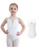 Leotardo de baile para niños, ropa de baile de encaje europea y americana transfronteriza, traje básico de gimnasia para entrenamiento, body de una pieza de malla, traje de entrenamiento de patinaje artístico, atuendo para examen de arte