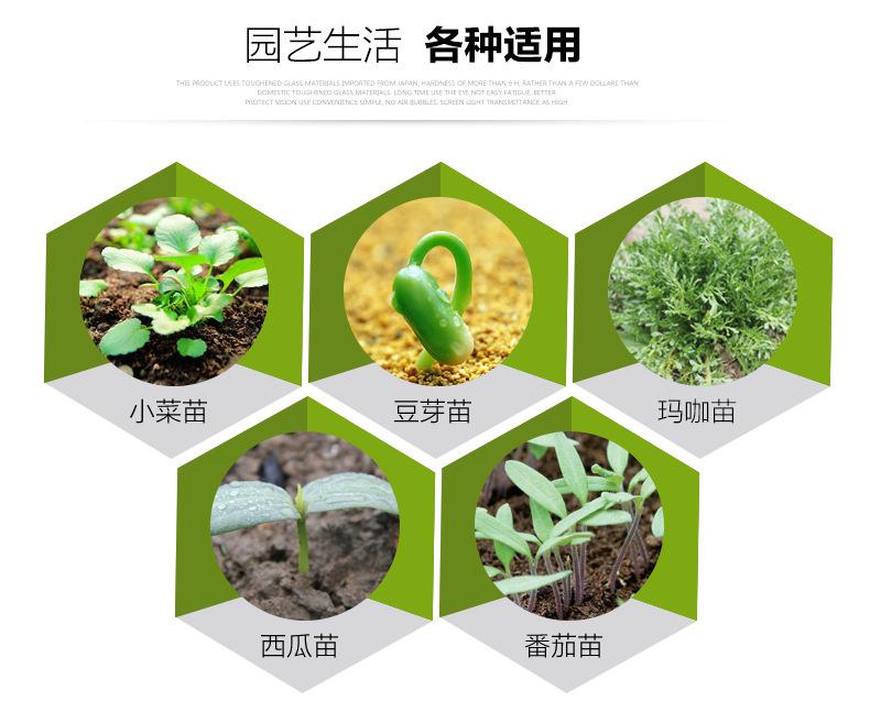 育苗托盘_04.jpg