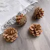 Paquete de materiales DIY hecho a mano flores mixtas plantas flores secas estilo bosque de jardín de infantes creación de anillos decoración piñas de Navidad
