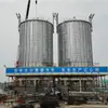 Silo Cônico Galvanizado de Armazenamento de Grãos de 150 Toneladas para Armazenamento de Grãos, Design Mecanizado, Silo de Aço para Grãos Pequenos