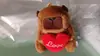 Llavero de Peluche de Dibujos Animados Muñeca Sanrio Pareja Coche Bolsa Llavero Captura Muñeca Máquina Bolsa Colgante Venta al por Mayor