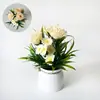 Novo vaso pequeno de corda de cânhamo com rosas e margaridas, mini plantas em vaso para decoração interna e externa, adereços de fotografia, flores artificiais, plantas verdes, mini bonsai