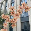 Hua Xigu 2026 Nova Coleção: Série na Cor Café, Coleção Cristal, Flores Artificiais para Locais de Casamento, Atacado