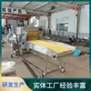 Nueva Máquina Rebozadora de Hamburguesas de Carne, Máquina Rebozadora Totalmente Automática de Hamburguesas de Pescado Basa, Máquina Rebozadora de Filetes de Pollo, Soporte Técnico del Fabricante