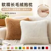 Venta Directa de Fábrica Funda de Almohada de Piel de Lobo Marino para Amazon, Funda de Almohada de Felpa de Color Sólido por Dos Lados, Cojín de Respaldo