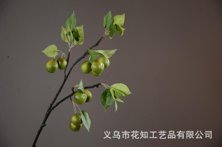 3-4绿色欧罗梨子..JPG