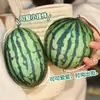 Almofada de Pelúcia Fruta Esférica Tridimensional Melancia Grande Brinquedo de Pelúcia Boneca de Verão Boneca de Pano Presente para Crianças
