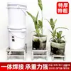 Prateleira de Armazenamento de Aço Inoxidável Prateleira à Prova de Umidade Base Elevada para Vasos de Flores Suporte Suporte de Carga para Aquário Prateleira de Suporte para Objetos Pesados