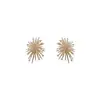 Pendientes de Zirconia Exquisitos de Fuegos Artificiales de Lujo Ligero de Nicho, Versátiles y Elegantes con un Toque de Alta Gama, Pendientes de Cielo Estrellado, Accesorios para Orejas, Pendientes de Presión