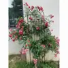 Espaldera para Rosas Trepadoras Plantación de Clematis Valla de Jardín Soporte para Flores de Exterior Poste de Soporte Hierro Forjado Plantas Trepan