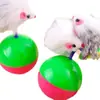 Roly-Poly Rato Brinquedo para Cachorro Brinquedo para Gato Vara Catnip para Gato Brinquedo de Rato Brinquedo Catnip para Gato