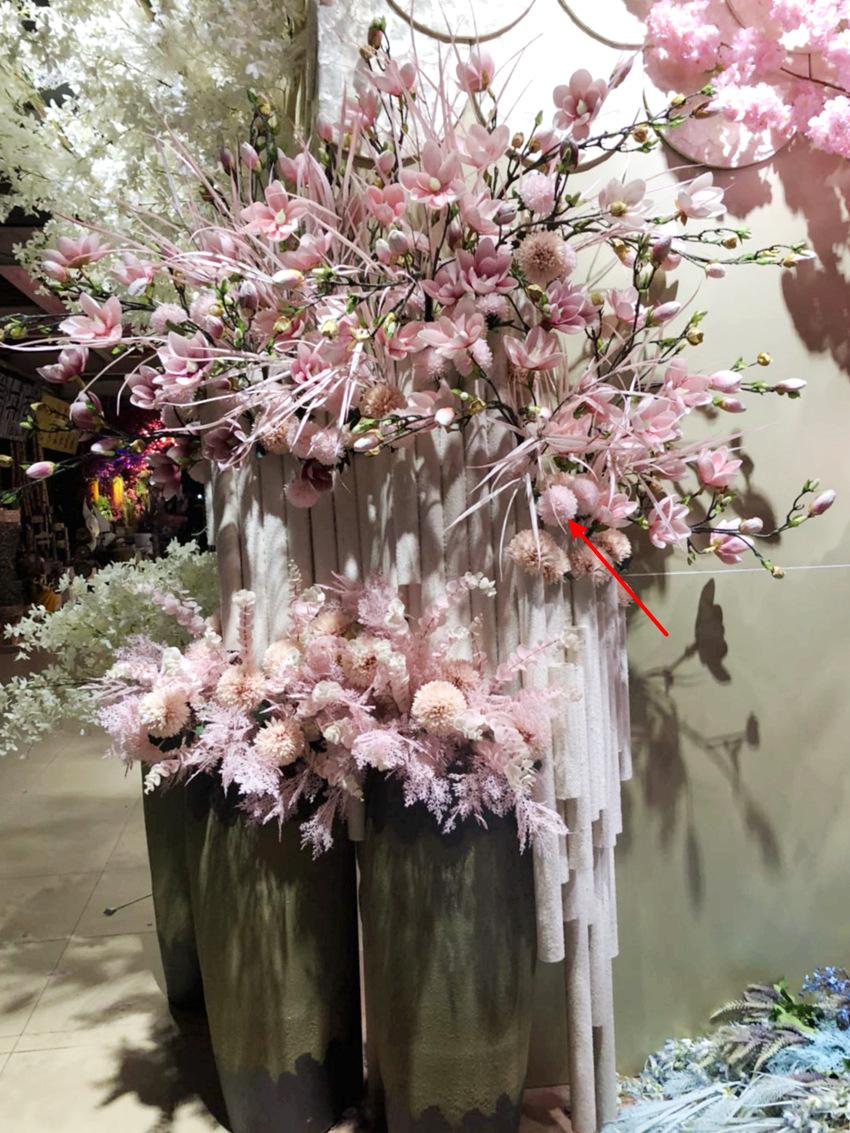 微信图片_20190502113504_副本