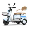 Triciclo Eléctrico de Ocio Fresco y Elegante, E-Trike de Exportación Transfronteriza, Suministro Directo desde la Fábrica de Origen con Personalización OEM/ODM