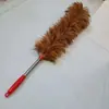 Plumero [Promoción Deficitaria] Lavable, Apto para Uso en Casa y Coche, No Pierde Plumas.