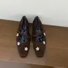 Zapatos de Piel con Pedrería Estilo Retro para la Noche, con Elevación Interior, Estilo Otoño e Invierno para Mujer, Zapatos Mary Jane para Combinar con Falda