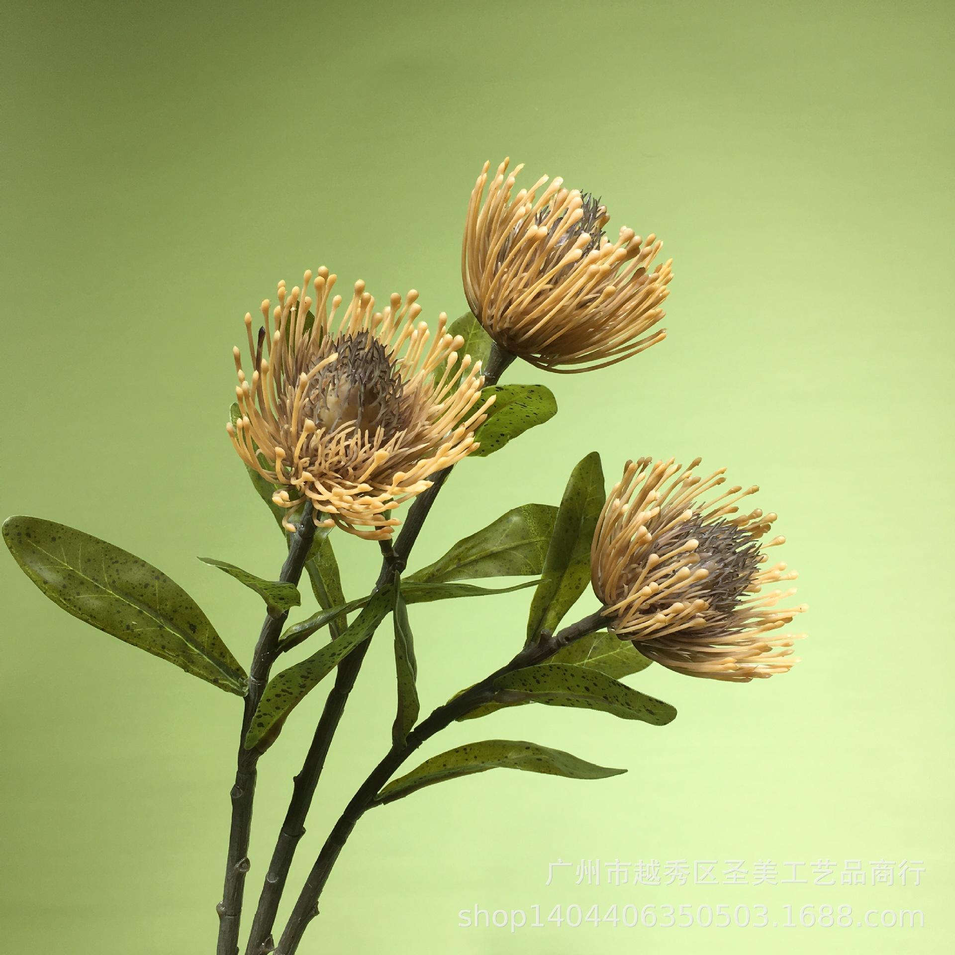 AA9E4498ABC1324A5C5CCDBC8CCDC6