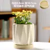 Vaso de Cerâmica para Flores com Prato, Estilo Ins de Luxo Leve, Diâmetro Grande, Estilo Creme, para Orquídeas e Suculentas, Liquidação