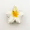 Presilha de Cabelo Flor de Plumeria Colorida Transfronteiriça da Amazon Vintage Elegante Feminina Meio-Presilha Parte de Trás da Cabeça Presilha de Tubarão