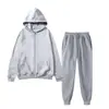 Conjunto de agasalho esportivo unissex de cor sólida europeu e americano 2026, conjunto de moletom com zíper quente casual da moda para outono e inverno