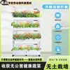 Máquina de Siembra Multinivel Transfronteriza, Máquina de Siembra de Verduras, Equipo de Cultivo sin Suelo, Máquina de Siembra de Verduras Hidropónicas, Máquina de Siembra de Verduras en Interiores