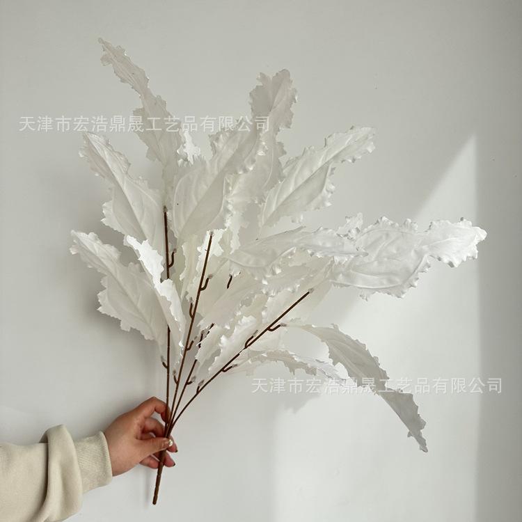 微信图片_202303241647072_副本