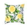 Funda de Cojín Nórdica Estampado de Frutas Frescas Pequeñas Funda de Cojín Piel de Durazno Funda de Cojín Lumbar para Oficina Muebles para el Hogar Transfronterizos