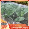 Malla Antinsectos Popular Transfronteriza para Cultivo de Hortalizas en Invernadero, Malla Antinsectos Agrícola para Árboles Frutales, Malla Antinsectos Gruesa y Encriptada 60 Malla a Prueba de Pájaros