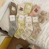 Meias Meias Médias Femininas Primavera e Outono Puro Algodão Fio Ponta Panda Meias Femininas Ins Meias Femininas All-Match Meias de Desenho Animado