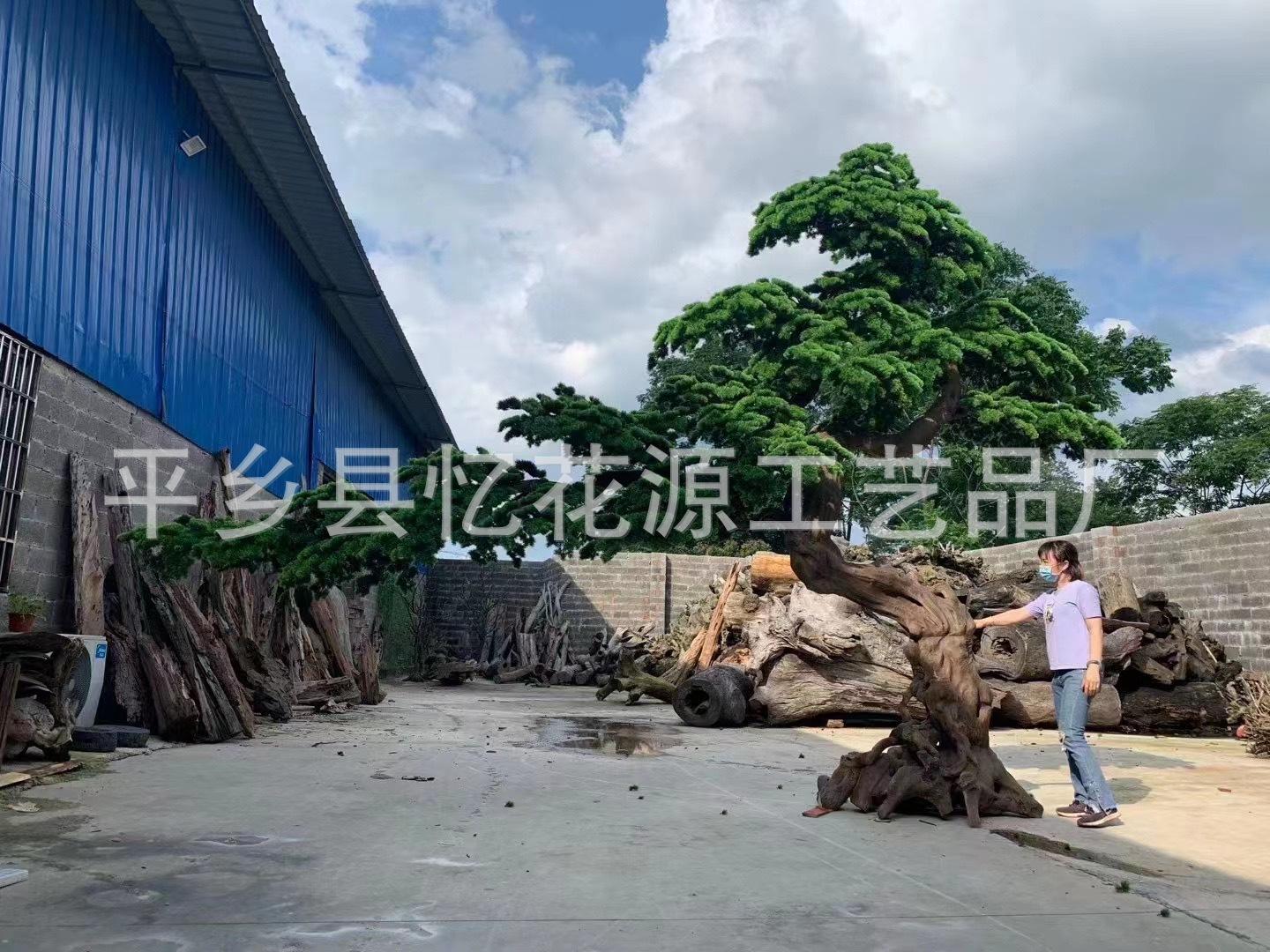 微信图片_202306252037159