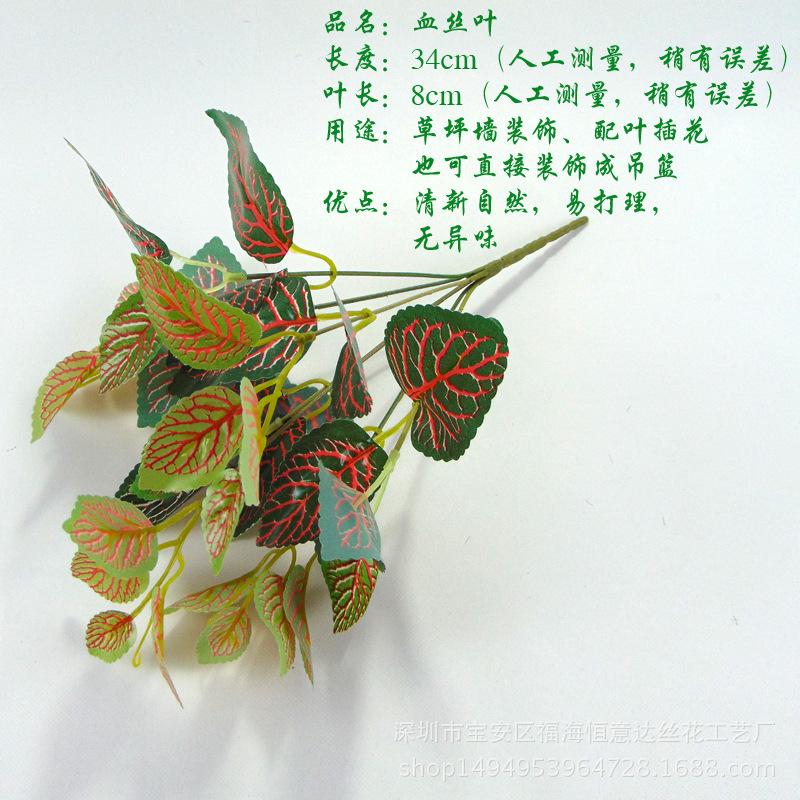DSC00542 副本