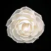 Dropshipping Múltiples Opciones Disponibles: Flores Secas Hechas a Mano de 7/8cm para Aromaterapia, Decoración de Bodas, Decoración del Hogar y Cajas de Regalo.