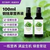 Solución Nutritiva Especial para Hierba de Cobre Verde, Cultivo Hidropónico y en Tierra, Realza el Verde, Promueve el Crecimiento, Previene el Marchitamiento y el Amarillamiento de las Hojas, No Requiere Dilución, Fertilizante al por Mayor