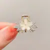 Pinza Decorativa Pequeña de Garra Estilo Coreano Pinza Lateral Suave Pinzas para Fijar Mechones Rebeldes Accesorios Simples para el Cabello