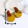 2026 Novos Brincos de Acrílico Estilo Ins Versáteis Elegantes Tarrachas de Orelha Femininas Moda Simples Acessórios de Orelha Design de Nicho