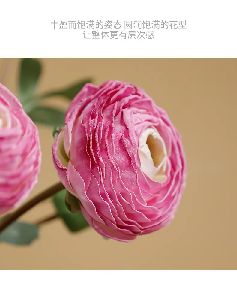 希德洋牡丹_09.jpg
