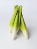 Verduras, maíz, tomates, rábanos, zanahorias, pimientos, raíz de loto, col, modelos de plástico de verduras