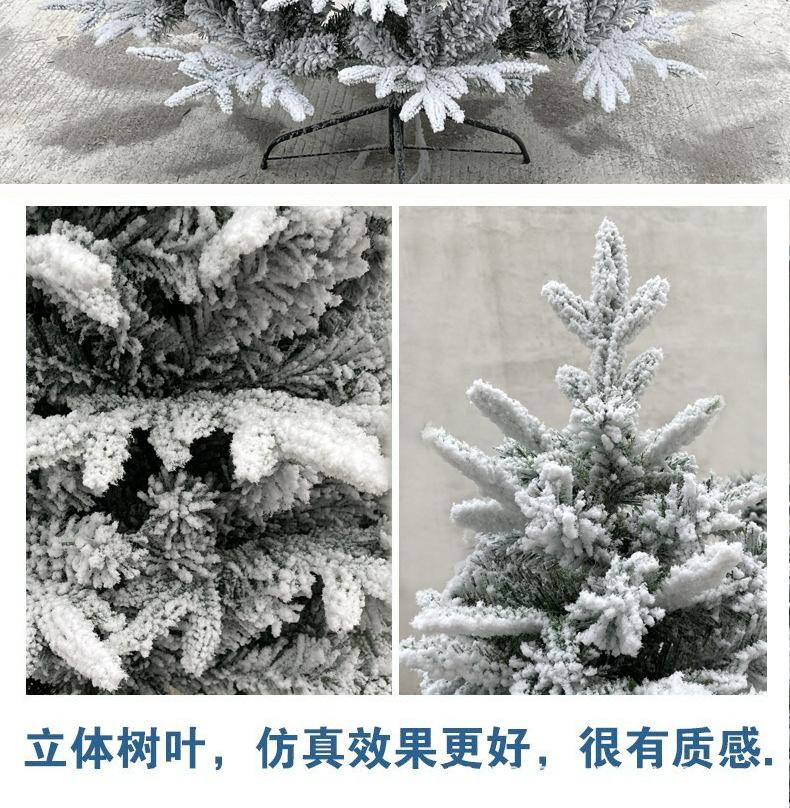 PE多雪2021_13.jpg