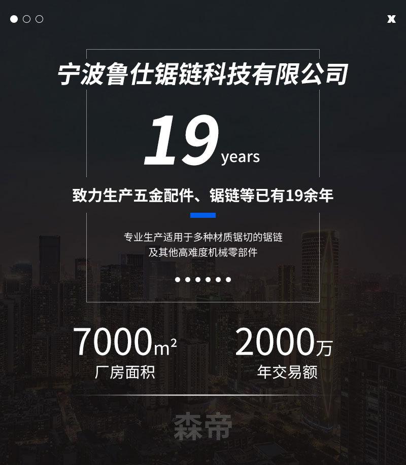 38金刚石链条详情_01