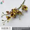 3D dança orquídea ramo único yuanlan cross-border comércio exterior atacado simulação flor comercial rua meichen fotografia exibição flores falsas