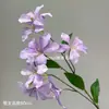 Flores Artificiais: Orquídea Chama de 7 Cabeças, Material Floral de Alta Qualidade para Arranjos de Casamento, Série de Cores Jardim de Monet, Flores de Seda, Lírio da Chuva, Flores Artificiais