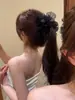 Pinza de Malla para Plátano para Recogidos, Accesorio para el Cabello Suave y Elegante para Mujeres, Pasador Floral, Adorno para el Cabello de Estilo Puro y Atractivo