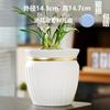 Vaso de Flores Cerâmico Estilo Ins Nórdico fosco simples para interior Phalaenopsis tulipa verde vaso grande para plantas verdes
