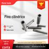 Pino Cilíndrico Aço Inoxidável Pino Fixo Fixador Mecânico Industrial Pino de Posicionamento Pino Fixo Rosca de Prego