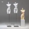 Mannequins de Meia-Corpo Masculino e Feminino para Exposição de Lingerie, Rack para Vitrine de Loja de Lingerie, Manequim, Rack para Exposição de Maiôs e Sutiãs, Modelo de Prateleira