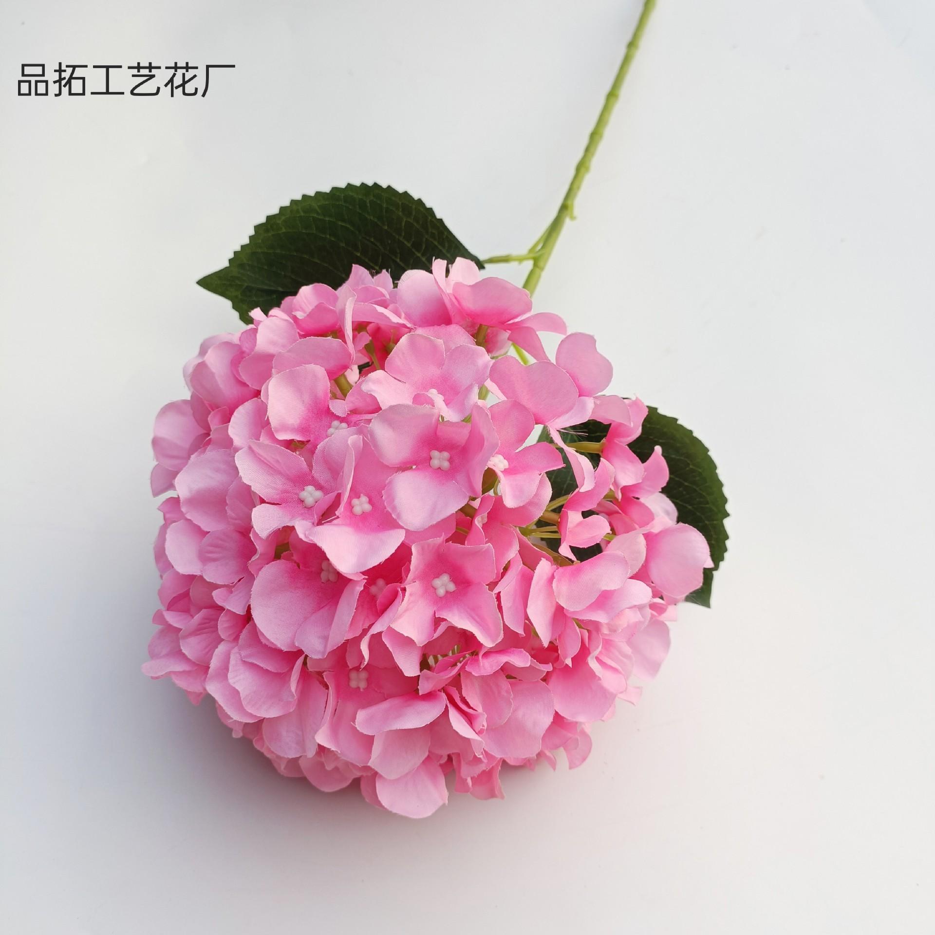 2bc13fc7dbd6742c19f84e56b54b83