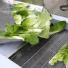 Línea de Producción para Limpieza de Frutas y Verduras, Eliminación de Agua, Secado al Aire y Empaquetado, Equipo de Secado al Aire, Maquinaria de Empaquetado, Limpieza con Burbujas, Película Caliente