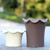 Maceta Lusur, Maceta de Plástico para Bonsái Rábano Verde, Maceta Creativa para Balcón para Cultivar Verduras y Plantas Suculentas, Maceta de Plástico Engrosada