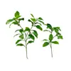 Decoraciones de Plantas Verdes Artificiales para Decoración del Hogar, Accesorios de Ingeniería, Plantas de Fábrica, Hojas Falsas de Pomelo, Hojas de Kumquat, Hojas de Brotes, Hojas de Rama Alta