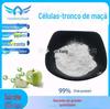 Células-tronco de maçã 99% extrato de maçã verde suíça 85251-63 -4 Pó de parede quebrada Desconto em grande quantidade